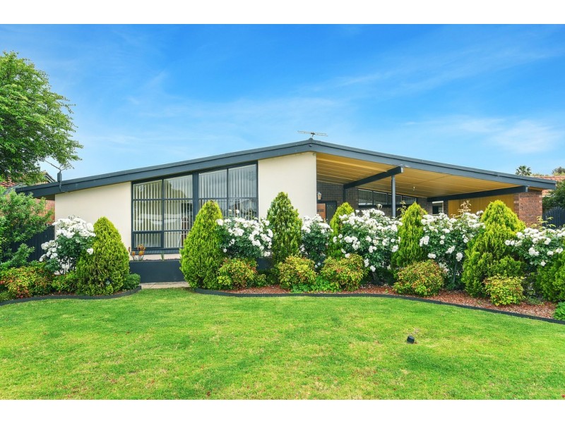 19 Tiller Drive, Seaford SA 5169