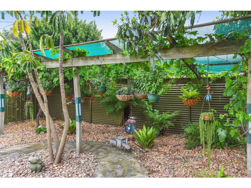 19 Tiller Drive, Seaford SA 5169