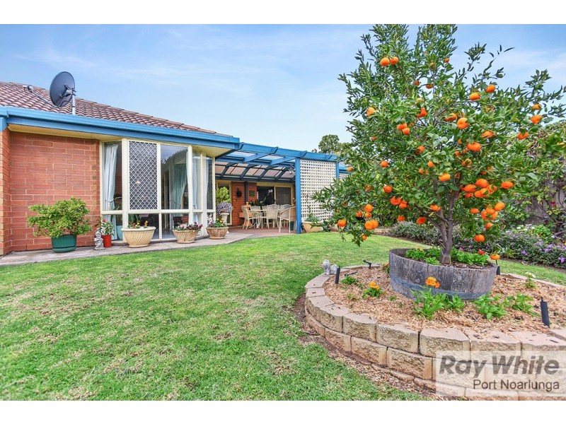 21 Driftwood Crescent, Seaford Rise SA 5169