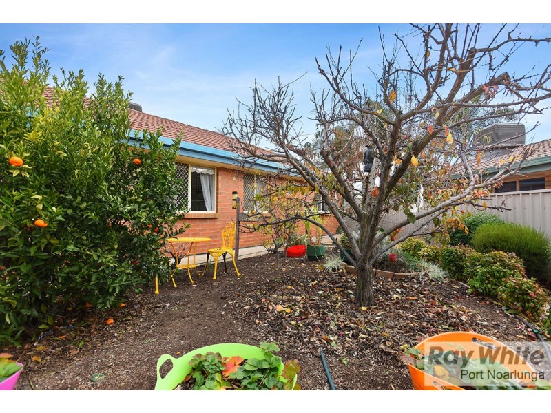 21 Driftwood Crescent, Seaford Rise SA 5169