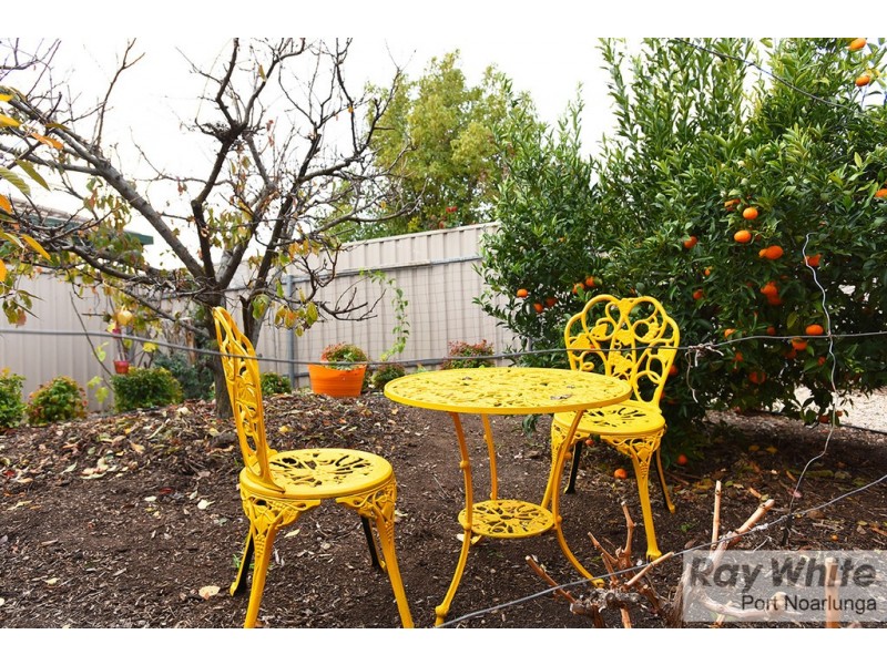 21 Driftwood Crescent, Seaford Rise SA 5169