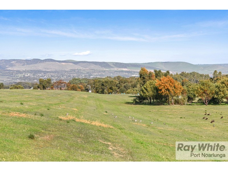 3 Teal Close, Aldinga Beach SA 5173