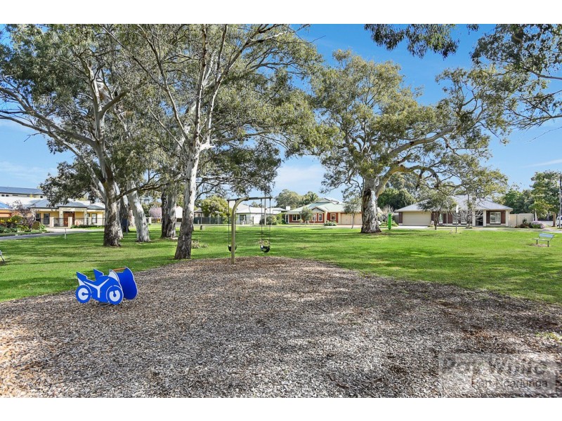 17 Coolah Terrace, Marion SA 5043