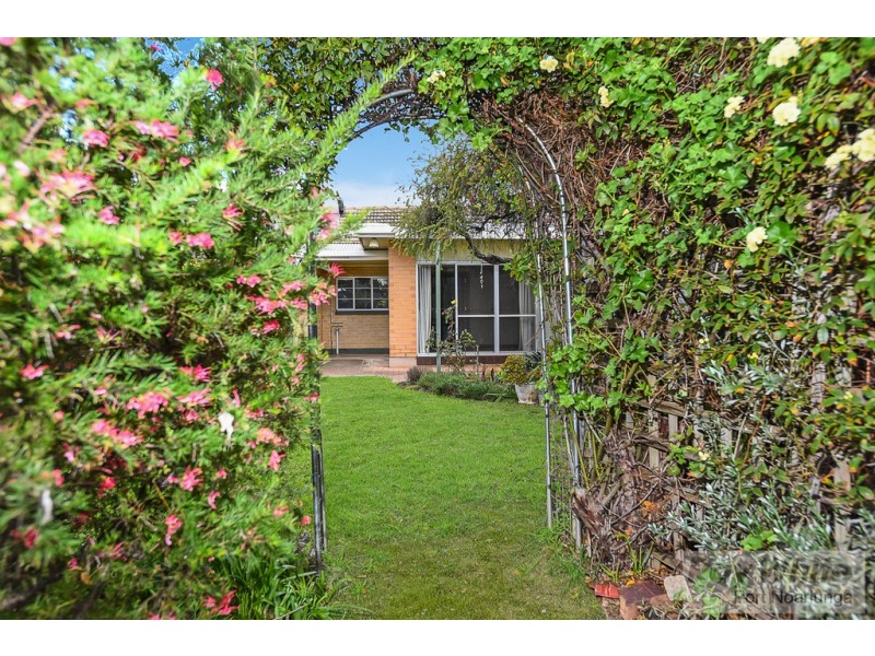 17 Coolah Terrace, Marion SA 5043