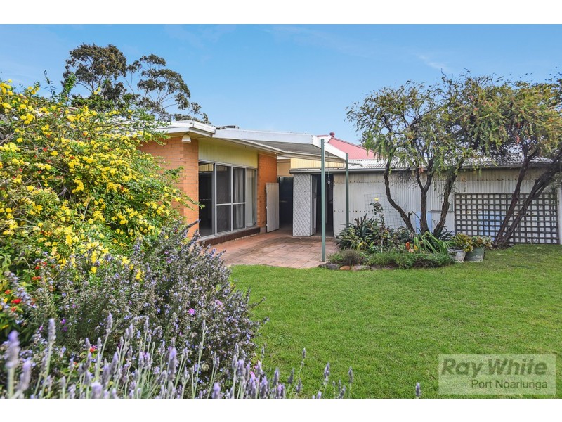 17 Coolah Terrace, Marion SA 5043