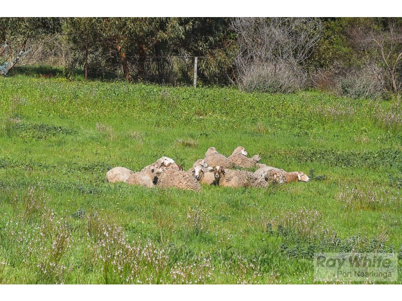 654 Brodie Road, Huntfield Heights SA 5163