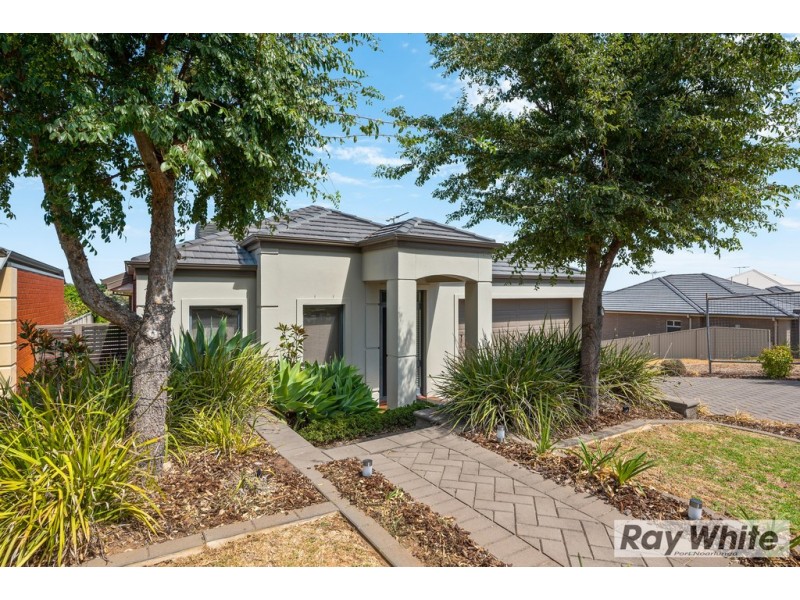 23 Mariner Avenue, Seacliff Park SA 5049