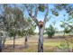 4 Gillian Close, Noarlunga Downs SA 5168