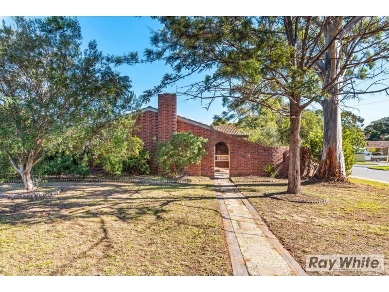 17 Reynold Street, Morphett Vale SA 5162