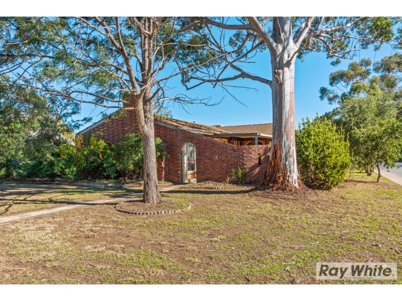 17 Reynold Street, Morphett Vale SA 5162