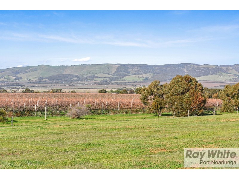 3 Teal Close, Aldinga Beach SA 5173