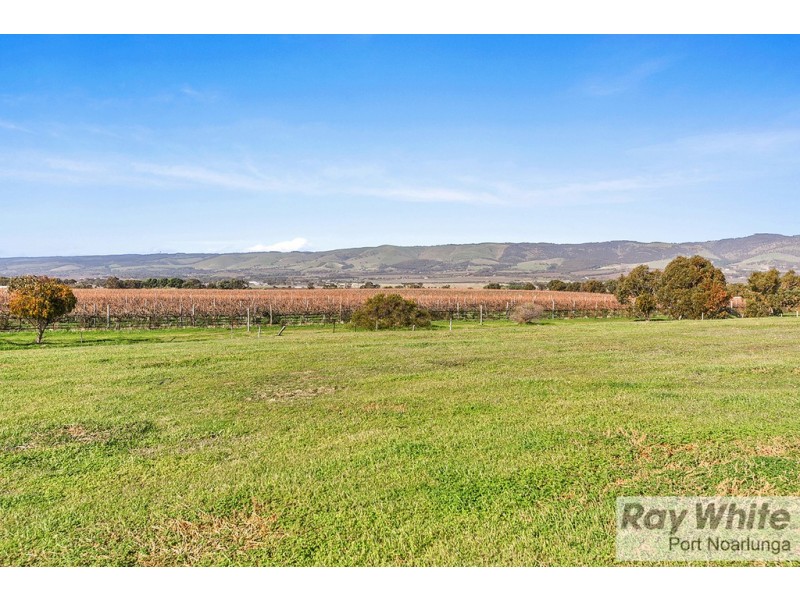 3 Teal Close, Aldinga Beach SA 5173