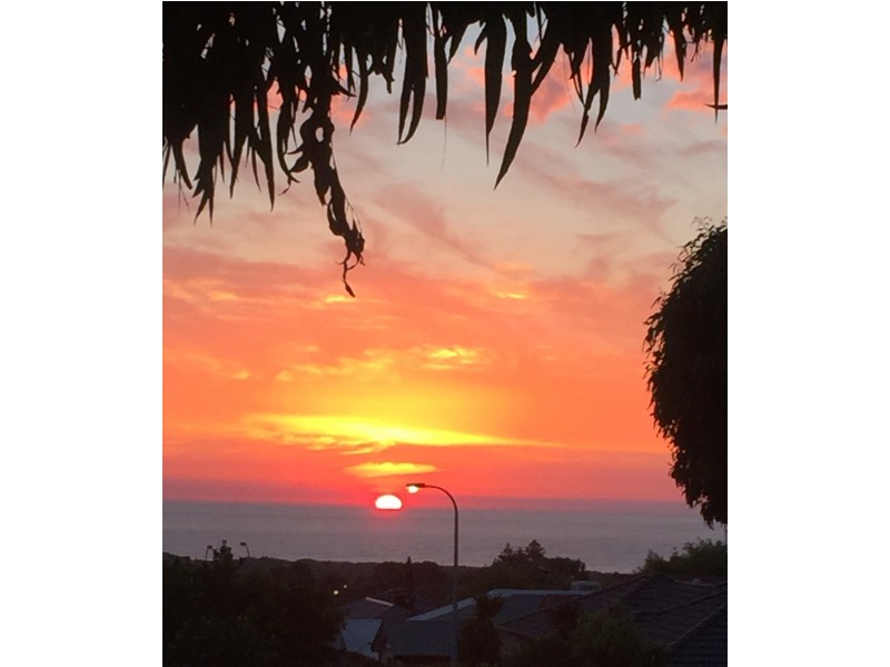 14 Omega Drive, Seaford Rise SA 5169