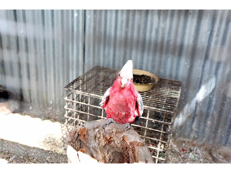 43 Dyson Road, Port Noarlunga SA 5167