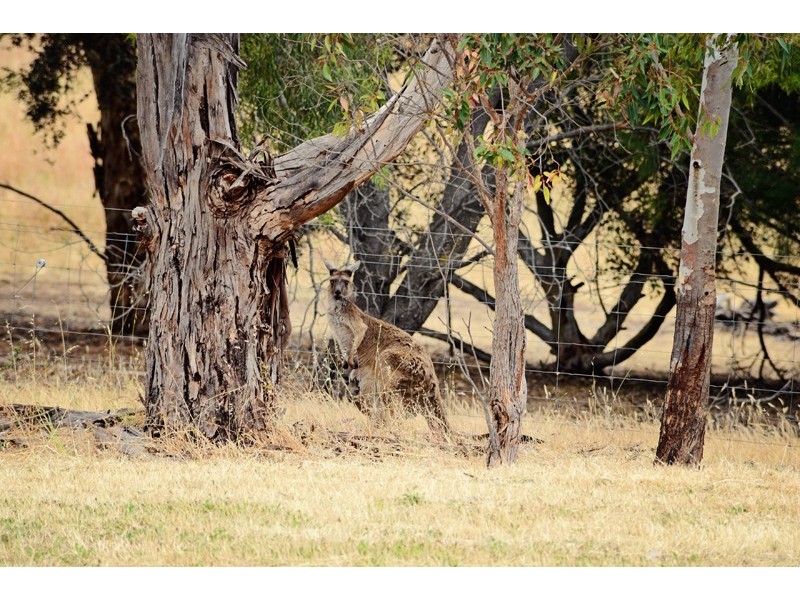 76 Stump Hill Road, Mclaren Vale SA 5171