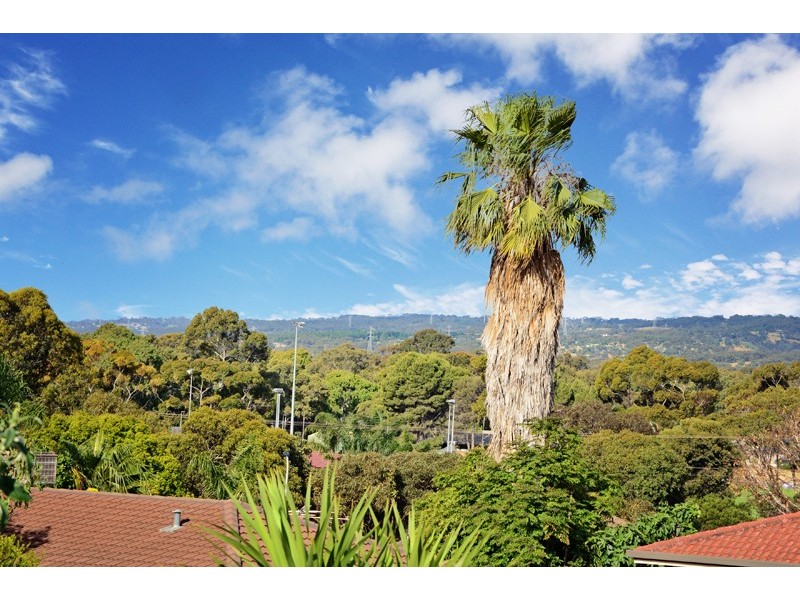 10 Lutana Court, Morphett Vale SA 5162