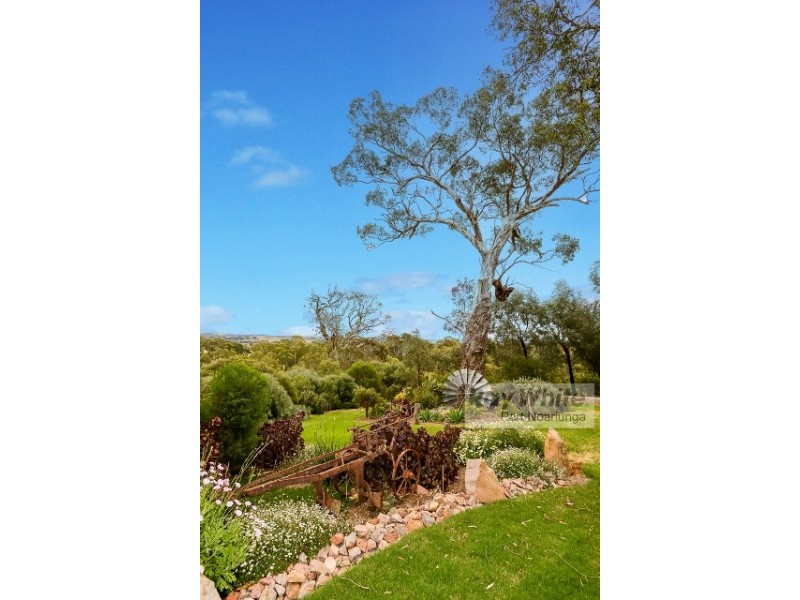 426 McLaren Flat Road, Mclaren Flat SA 5171