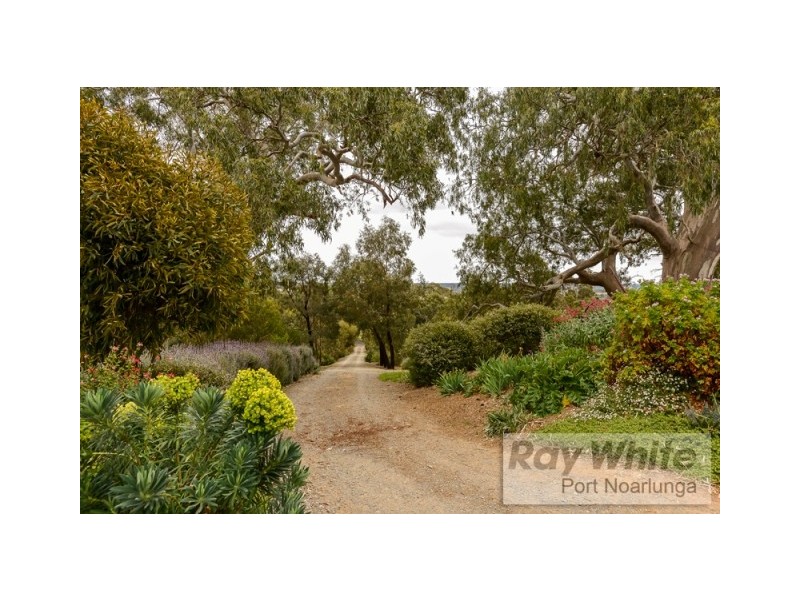 426 McLaren Flat Road, Mclaren Flat SA 5171