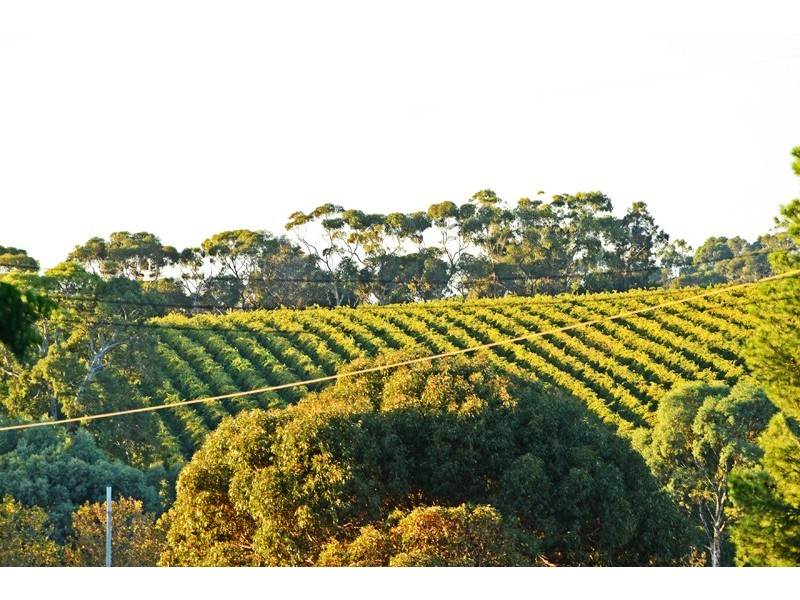 4 Field Street, Mclaren Vale SA 5171