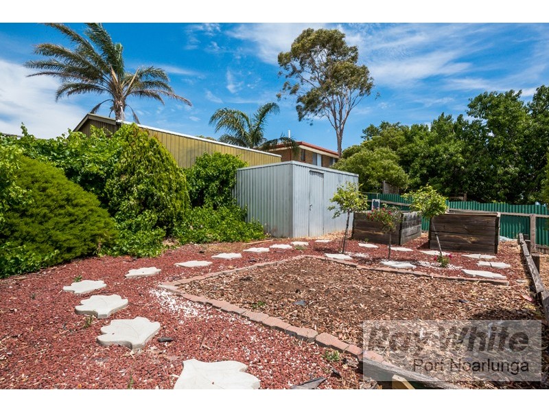 17 Sandhurst Avenue, Noarlunga Downs SA 5168