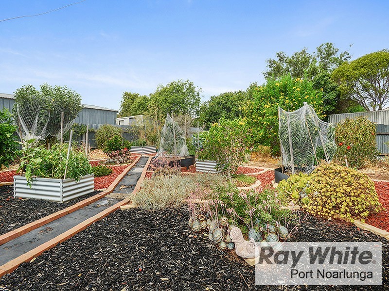 40 McKinna Road, Christie Downs SA 5164