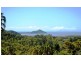204 Dunwoody Road, Seaforth QLD 4741