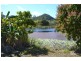 14 Said Rd, Ball Bay QLD 4741