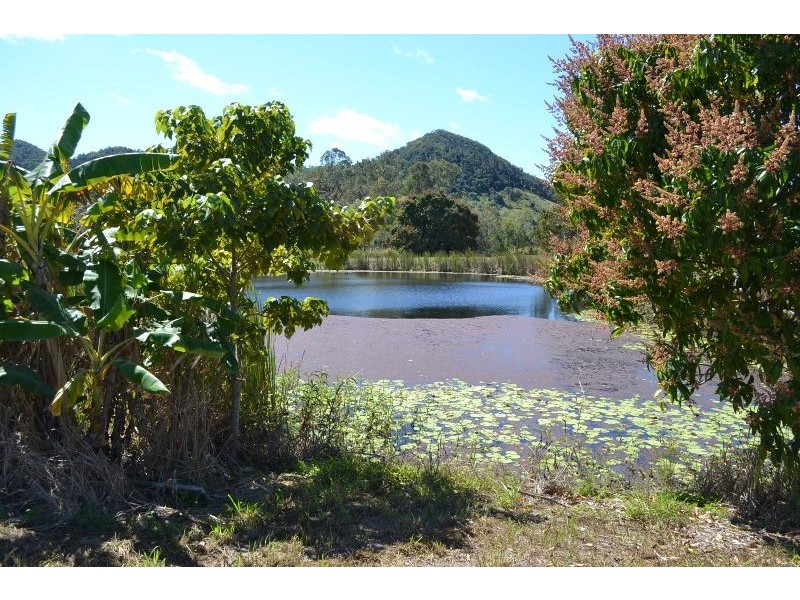 14 Said Rd, Ball Bay QLD 4741