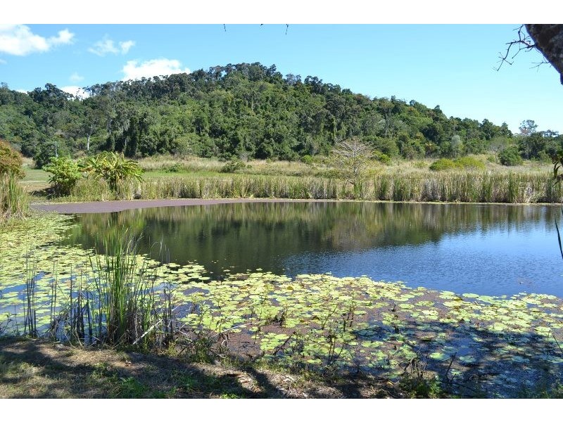 14 Said Rd, Ball Bay QLD 4741