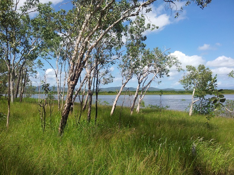 24 Murphy Street, Seaforth QLD 4741