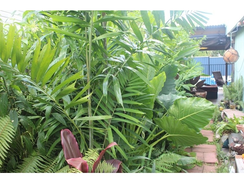 8 Mason Street, Ball Bay QLD 4741