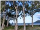 10 Ward Esp, Ball Bay QLD 4741