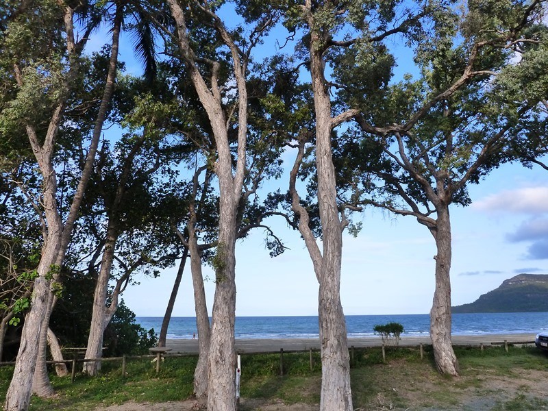 10 Ward Esp, Ball Bay QLD 4741