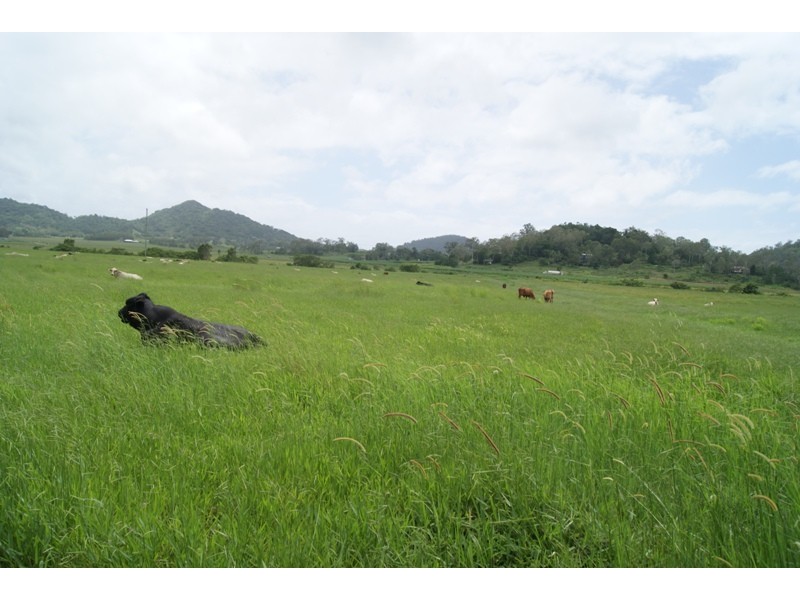 Lot 3 Old Bowen Coach Rd, Balnagowan QLD 4740