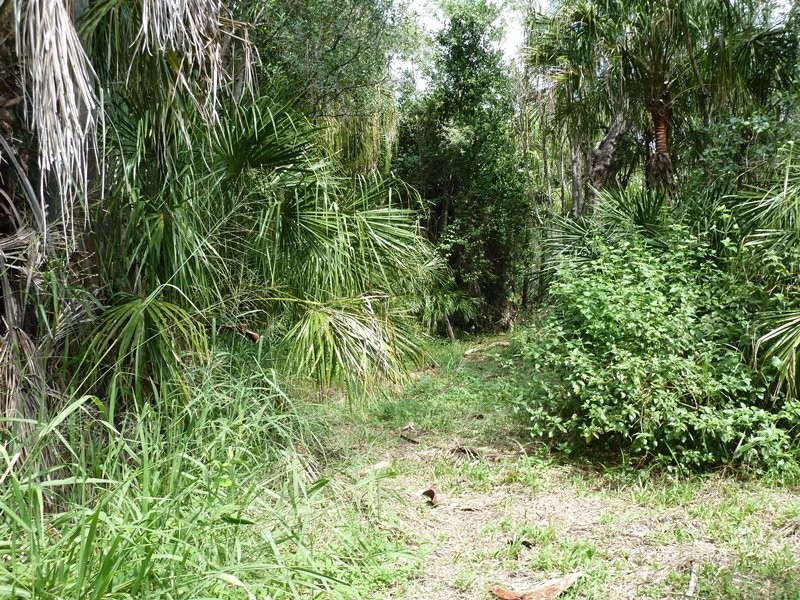 62 Kippen Dr, Ball Bay QLD 4741