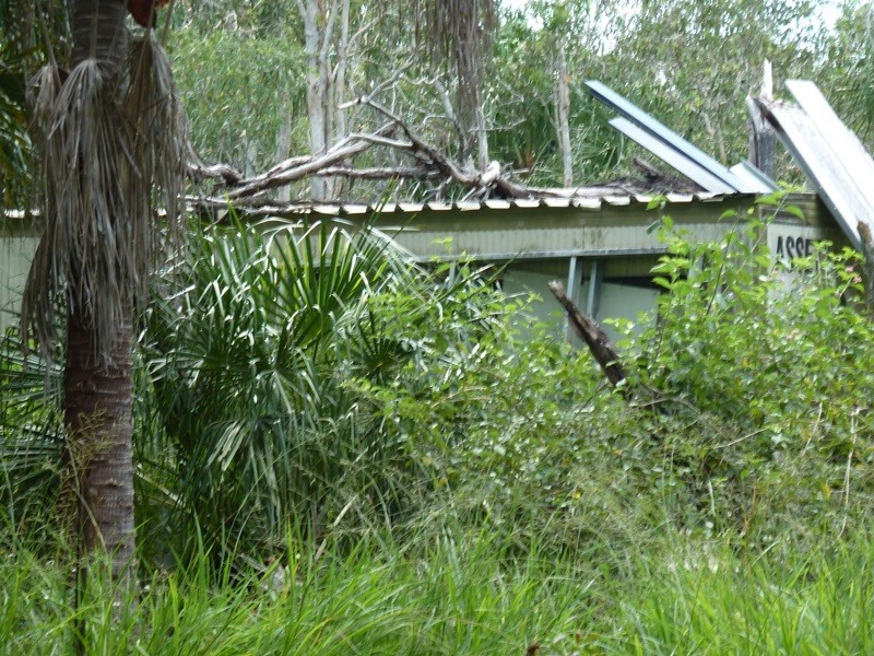 62 Kippen Dr, Ball Bay QLD 4741