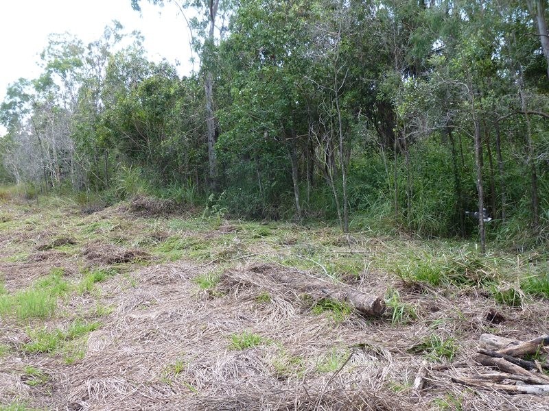 62 Kippen Dr, Ball Bay QLD 4741