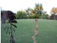 1 Cobalt Crescent, Tannum Sands QLD 4680