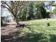 4 Elanora Street, Boyne Island QLD 4680