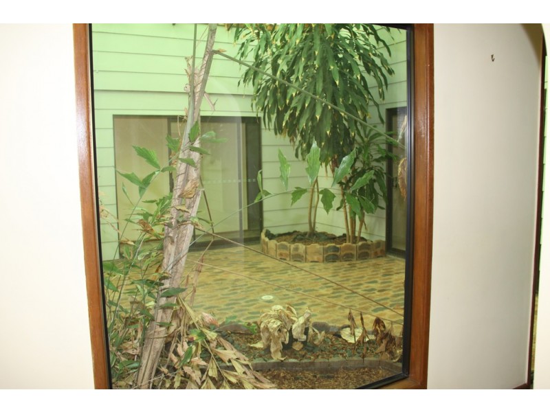 11 Worthington Road, Turkey Beach QLD 4678
