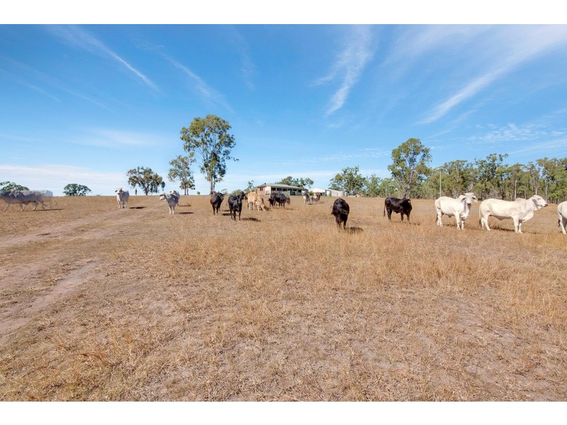 46663 Bruce Highway, Foreshores QLD 4678