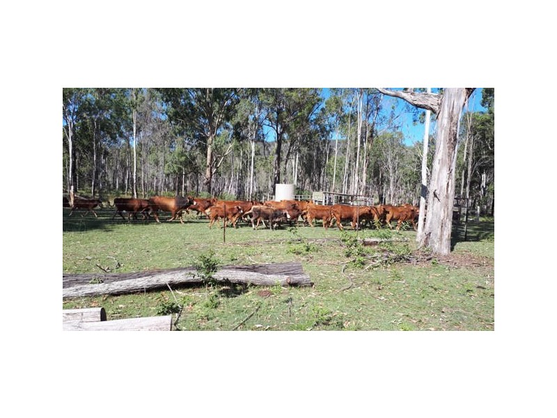 425 Randles Road, Bororen QLD 4678