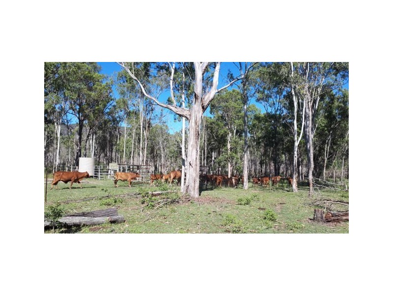 425 Randles Road, Bororen QLD 4678