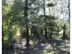 2 Walden Court, Rodds Bay QLD 4678