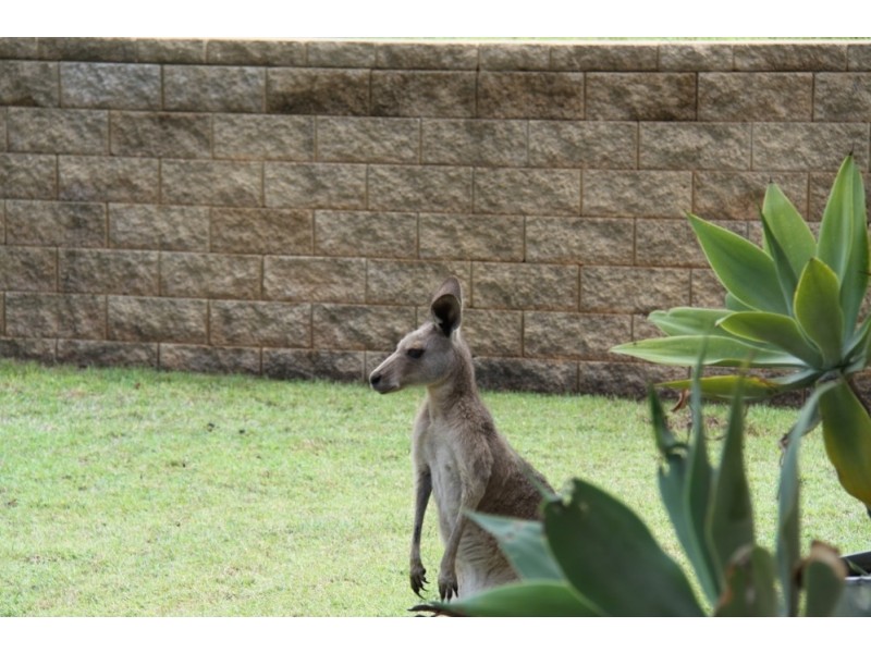 13 Stoney Ct, Tannum Sands QLD 4680