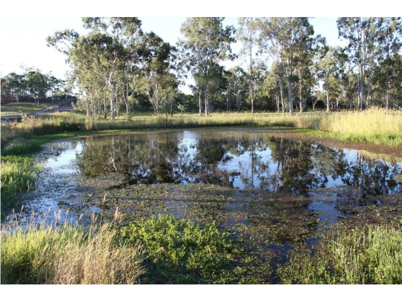 1 Ronald, Benaraby QLD 4680