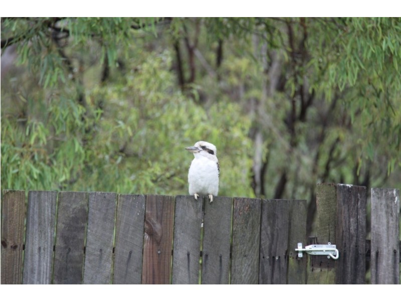 26 Amaroo Street, Boyne Island QLD 4680