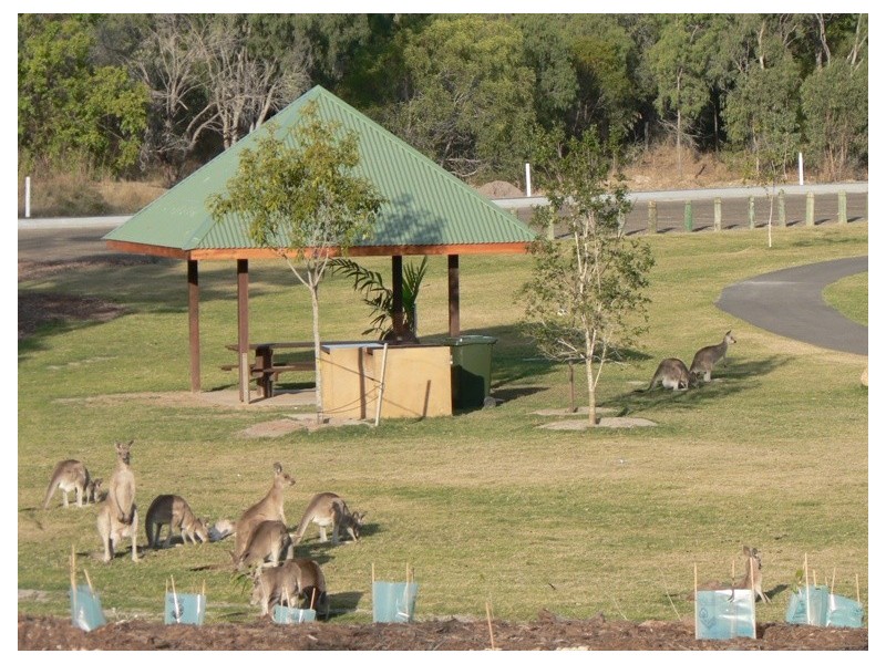 10 Stoney Court, Tannum Sands QLD 4680