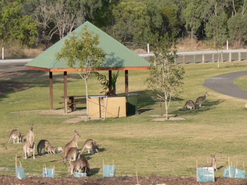 4 Stoney Court, Tannum Sands QLD 4680