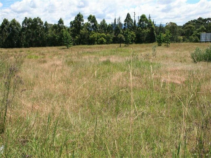 51 (Lot 208) Alliance Ave, Morisset NSW 2264